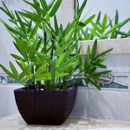 Apartamento Playa Alcaravaneras Las Palmas de Gran Canárias